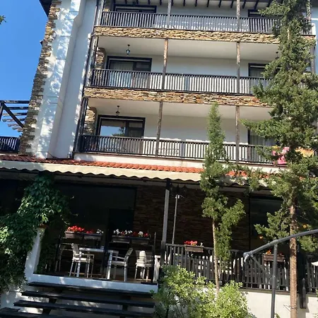 Apartament Lines *