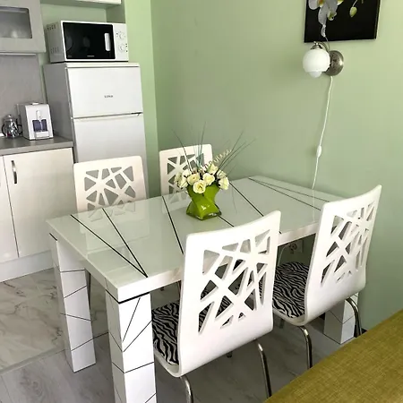 Lines Apartment